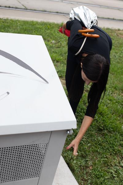 Belvedere 21: Community Outreach: Marlene Hausegger & Anita Fuchs: Spaziergangs Ruderalflora mit  Ernst Vitek. (16.7.2020)  https://esel.at/termin/106181 | Foto: eSeL Foto: eSeL.at - Lorenz Seidler