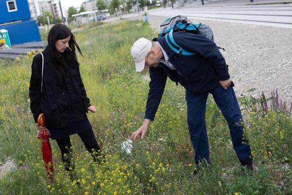 Belvedere 21: Community Outreach: Marlene Hausegger & Anita Fuchs: Spaziergangs Ruderalflora mit  Ernst Vitek. (16.7.2020)  https://esel.at/termin/106181 | Foto: eSeL Foto: eSeL.at - Lorenz Seidler