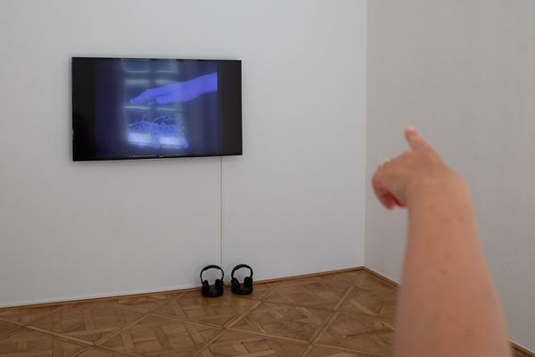 Galerie nächst St. Stephan - curated by Hans Ulrich Obrist: "Schutzgeister" - Friederike Mayröcker (5.9. - 10.10.2020) https://esel.at/termin/106747 | Foto: eSeL Foto: eSeL.at - Lorenz Seidler