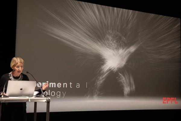 Belvedere 21:  Das Kunstmuseum im digitalen Zeitalter – 2020(10.1.2020) https://www.belvedere.at/das-kunstmuseum-im-digitalen-zeitalter-2020 | Foto: eSeL Foto: eSeL.at - Lorenz Seidler