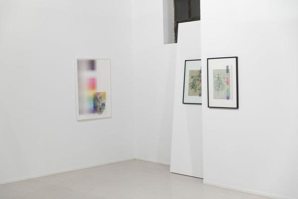 Georg Kargl Fine Arts: David Maljkovic (16.10. - 31.12.2020) https://www.georgkargl.com | Foto: eSeL Foto: eSeL.at - Lorenz Seidler