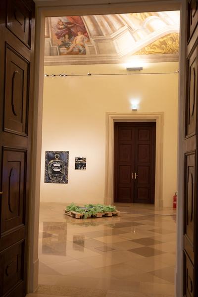 Akademie @Palais Liechtenstein : Die Akademie schläft nicht (08.07. - 21.08.2020) https://esel.at/termin/106244 | Foto: eSeL Foto: eSeL.at - Lorenz Seidler