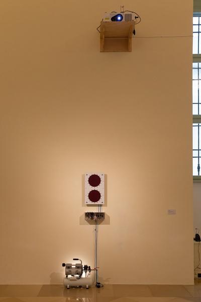 Akademie @Palais Liechtenstein : Die Akademie schläft nicht (08.07. - 21.08.2020) https://esel.at/termin/106244 | Foto: eSeL Foto: eSeL.at - Lorenz Seidler