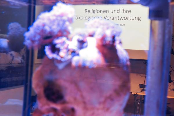 Dom Museum Wien: Domerstag - Religionen und ihre ökologische Verantwortung (22.10.2020) https://dommuseum.at/201022_EVENT_Talk | Foto: eSeL.at - Joanna Pianka Foto: eSeL.at - Joanna Pianka