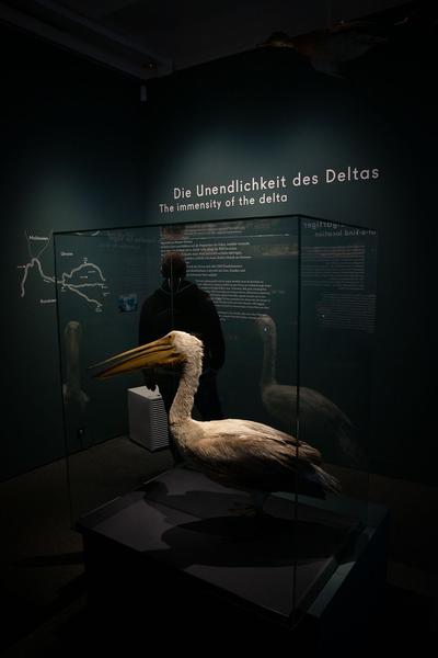 Schallaburg: DONAU – Menschen, Schätze & Kulturen (1.6. - 8.11.2020) https://www.schallaburg.at/de/ausstellungen/donau-menschen-schaetze-kulturen | Foto: eSeL Foto: eSeL.at - Lorenz Seidler