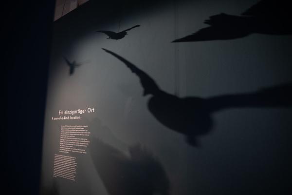 Schallaburg: DONAU – Menschen, Schätze & Kulturen (1.6. - 8.11.2020) https://www.schallaburg.at/de/ausstellungen/donau-menschen-schaetze-kulturen | Foto: eSeL Foto: eSeL.at - Lorenz Seidler