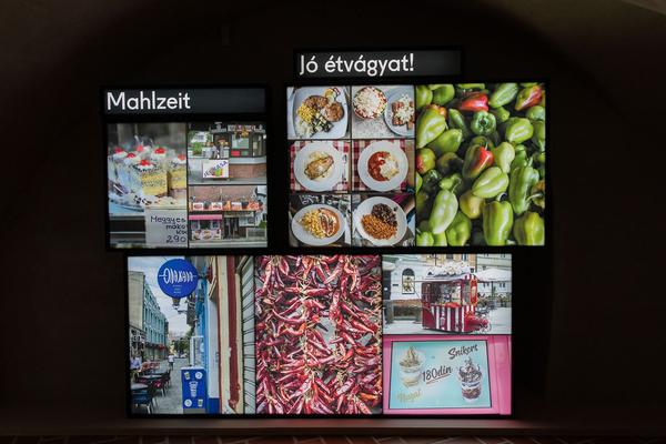 Schallaburg: DONAU – Menschen, Schätze & Kulturen (1.6. - 8.11.2020) https://www.schallaburg.at/de/ausstellungen/donau-menschen-schaetze-kulturen | Foto: eSeL Foto: eSeL.at - Lorenz Seidler