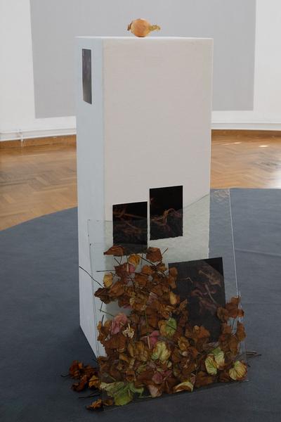 das weisse haus: "Stille Räume" - Abschlussausstellung 2019/2020 Schule Friedl Kubelka für künstlerische Photographie (8.9. - 17.10.2020, Eröffnung) https://w.dasweissehaus.at/exhibition/abschlussausstellung-stille-raeume | Foto: eSeL Foto: eSeL.at - Lorenz Seidler