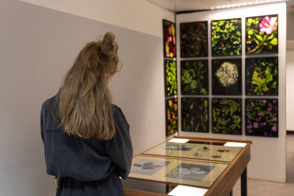 das weisse haus: "Stille Räume" - Abschlussausstellung 2019/2020 Schule Friedl Kubelka für künstlerische Photographie (8.9. - 17.10.2020, Eröffnung) https://w.dasweissehaus.at/exhibition/abschlussausstellung-stille-raeume | Foto: eSeL Foto: eSeL.at - Lorenz Seidler