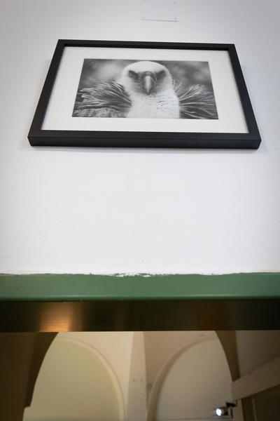das weisse haus: Election Day (08.09. – 17.10.2020) https://w.dasweissehaus.at/exhibition/gruppenausstellung-election-day | Foto: eSeL Foto: eSeL.at - Lorenz Seidler