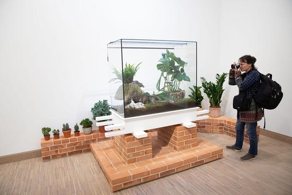 Künstlerhaus ReOpening (Pressekonferenz, 5.3.2020) https://www.k-haus.at | Foto: eSeL Foto: eSeL.at - Lorenz Seidler