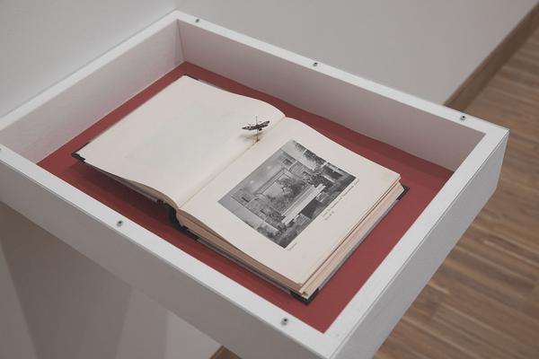 Künstlerhaus: reOPENING (6.3.2020) https://www.k-haus.at | Foto: eSeL Foto: eSeL.at - Lorenz Seidler