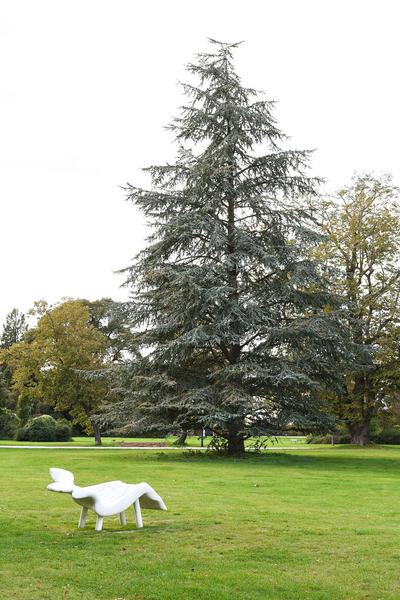 Kunst im öffentlichen Raum Niederösterreich: Flaka Haliti: Manufactured for the purpose of fainting (after screaming) (Schloßpark Grafenegg, 10.10.2020) https://esel.at/termin/106976/flaka-haliti-manufactured-for-the-purpose-of-fainting-after-screaming | Foto: Joanna Pianka Foto: eSeL.at - Joanna Pianka