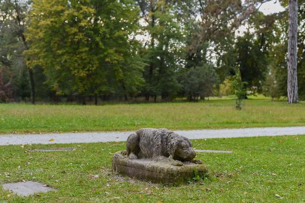 Kunst im öffentlichen Raum Niederösterreich: Flaka Haliti: Manufactured for the purpose of fainting (after screaming) (Schloßpark Grafenegg, 10.10.2020) https://esel.at/termin/106976/flaka-haliti-manufactured-for-the-purpose-of-fainting-after-screaming | Foto: Joanna Pianka Foto: eSeL.at - Joanna Pianka