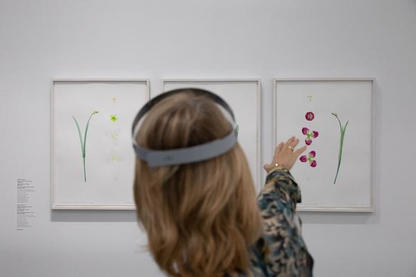 Dom Museum Wien: Fragile Schöpfung (1.10.2020 - 28.8.2021, Presseführung) https://dommuseum.at/fragileschoepfung_information | Foto: eSeL Foto: eSeL.at - Lorenz Seidler