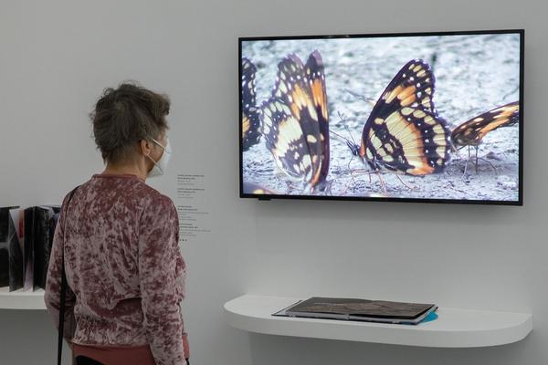 Dom Museum Wien: Fragile Schöpfung (1.10.2020 - 28.8.2021, Presseführung) https://dommuseum.at/fragileschoepfung_information | Foto: eSeL Foto: eSeL.at - Lorenz Seidler