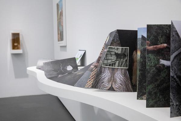 Dom Museum Wien: Fragile Schöpfung (1.10.2020 - 28.8.2021, Presseführung) https://dommuseum.at/fragileschoepfung_information | Foto: eSeL Foto: eSeL.at - Lorenz Seidler