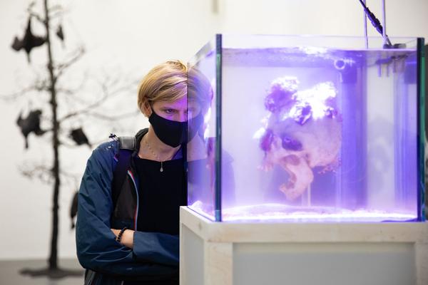 Dom Museum Wien: Fragile Schöpfung (1.10.2020 - 28.8.2021, Presseführung) https://dommuseum.at/fragileschoepfung_information | Foto: eSeL Foto: eSeL.at - Lorenz Seidler