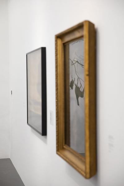 Dom Museum Wien: Fragile Schöpfung (1.10.2020 - 28.8.2021, Presseführung) https://dommuseum.at/fragileschoepfung_information | Foto: eSeL Foto: eSeL.at - Lorenz Seidler