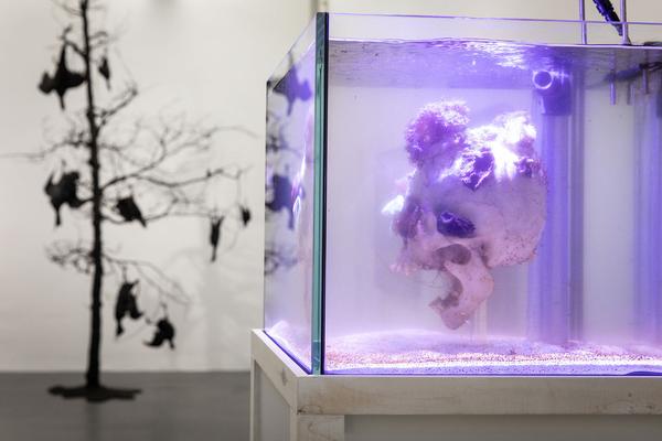 Dom Museum Wien: Fragile Schöpfung (1.10.2020 - 28.8.2021, Presseführung) https://dommuseum.at/fragileschoepfung_information | Foto: eSeL Foto: eSeL.at - Lorenz Seidler