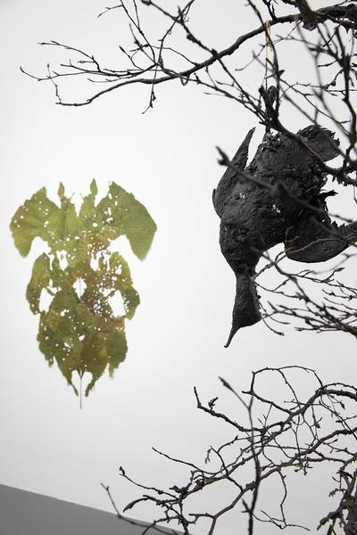 Dom Museum Wien: Fragile Schöpfung (1.10.2020 - 28.8.2021, Presseführung) https://dommuseum.at/fragileschoepfung_information | Foto: eSeL Foto: eSeL.at - Lorenz Seidler