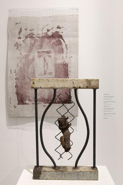 Dom Museum Wien: Fragile Schöpfung (1.10.2020 - 28.8.2021, Presseführung) https://dommuseum.at/fragileschoepfung_information | Foto: eSeL Foto: eSeL.at - Lorenz Seidler