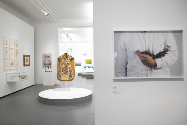 Dom Museum Wien: Fragile Schöpfung (1.10.2020 - 28.8.2021, Presseführung) https://dommuseum.at/fragileschoepfung_information | Foto: eSeL Foto: eSeL.at - Lorenz Seidler