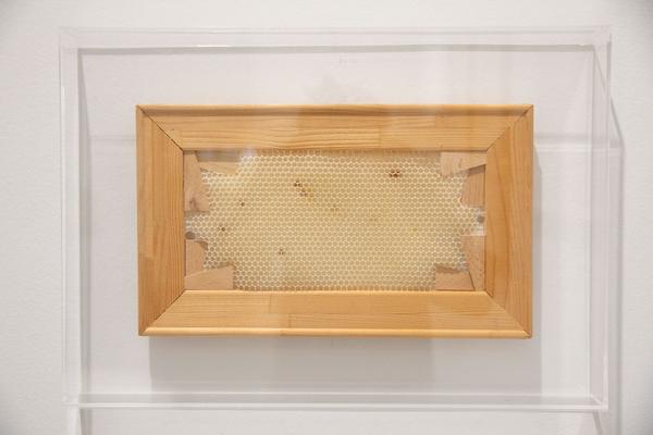 Dom Museum Wien: Fragile Schöpfung (1.10.2020 - 28.8.2021, Presseführung) https://dommuseum.at/fragileschoepfung_information | Foto: eSeL Foto: eSeL.at - Lorenz Seidler