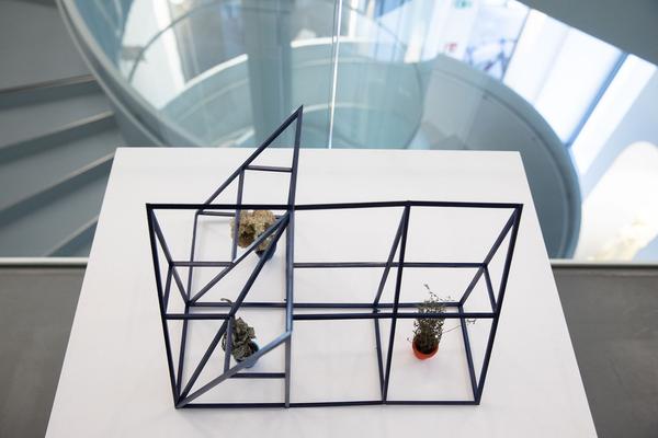 Dom Museum Wien: Fragile Schöpfung (1.10.2020 - 28.8.2021, Presseführung) https://dommuseum.at/fragileschoepfung_information | Foto: eSeL Foto: eSeL.at - Lorenz Seidler