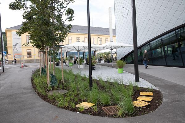 Landesgalerie Niederösterreich (3.7.3030) Foto: eSeL Foto: eSeL.at - Lorenz Seidler