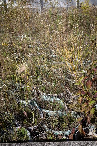 Kunst im öffentlichen Raum Niederösterreich: Lois Weinberger - Ein Garten, 2002 (Regierungsviertel St. Pölten, 30.9.2020) https://publicart.at/de/projekte/alle/?pnr=449 | Foto: eSeL Foto: eSeL.at - Lorenz Seidler