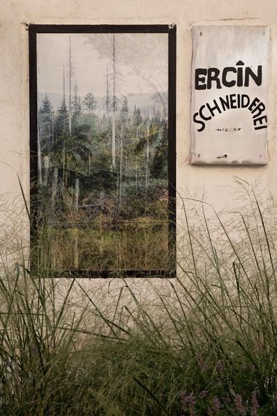 "Is this the real life? Is this just fantasy?" Temporäre Kunstprojekte im öffentlichen Raum der Josefstadt (Josefstädter Plätzefest, 18.9.2020) https://www.koer.or.at/projekte/josefstaedter-plaetzefest | Foto: eSeL Foto: eSeL.at - Lorenz Seidler
