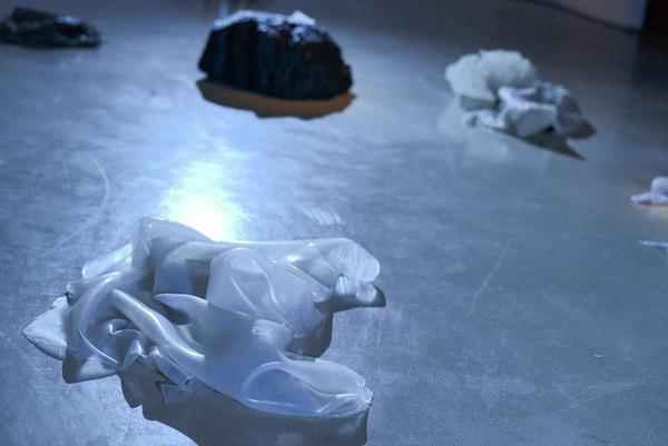 Kunstraum Niederösterreich: Johanna Bruckner - Quantum Brittle Stars (23.1.2020) https://www.kunstraum.net/de/ausstellungen/johanna-bruckner-quantum-brittle-stars | Foto: eSeL.at - Joanna Pianka Foto: eSeL.at - Joanna Pianka