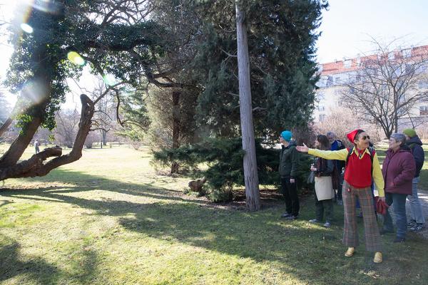 Barbara Kraus: Johnny geht spazieren (15.2.2020, Schlosspark Schönbrunn) https://tqw.at/event/johnny-geht-spazieren-kraus | Foto: eseL Foto: eSeL.at - Lorenz Seidler