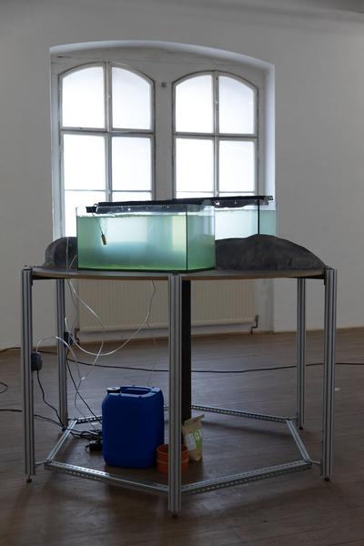 Kunsthalle Exnergasse / WUK: Klärschlamm (22.1. - 29.2.2020) https://esel.at/termin/104500 | Foto: eSeL Foto: eSeL.at - Lorenz Seidler
