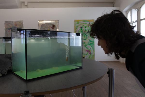 Kunsthalle Exnergasse / WUK: Klärschlamm (22.1. - 29.2.2020) https://esel.at/termin/104500 | Foto: eSeL Foto: eSeL.at - Lorenz Seidler