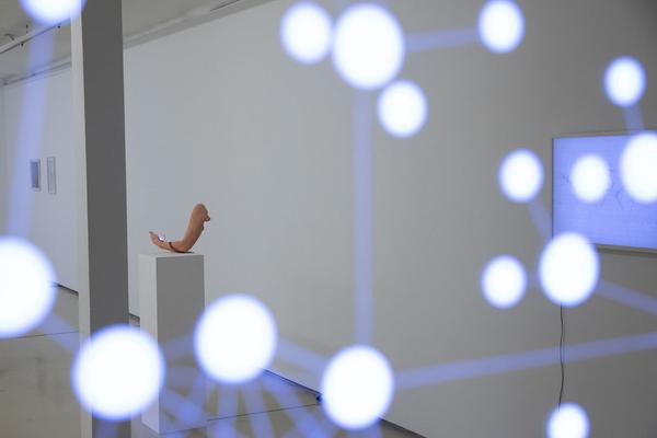 Krinzinger Projekte: Rosmarie Lukasser - Material Translation (28.11.2019 - 15.2.2020) https://esel.at/termin/104972 | Foto: eSeL Foto: eSeL.at - Lorenz Seidler