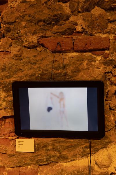 Schallaburg: Kunst am Strom (25.9. - 8.11.2020) https://www.schallaburg.at/de/veranstaltungen/kunst-am-strom | Foto: eSeL Foto: eSeL.at - Lorenz Seidler