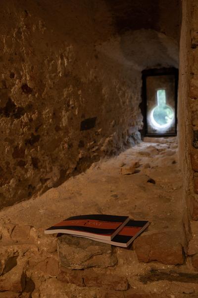 Schallaburg: Kunst am Strom (25.9. - 8.11.2020) https://www.schallaburg.at/de/veranstaltungen/kunst-am-strom | Foto: eSeL Foto: eSeL.at - Lorenz Seidler