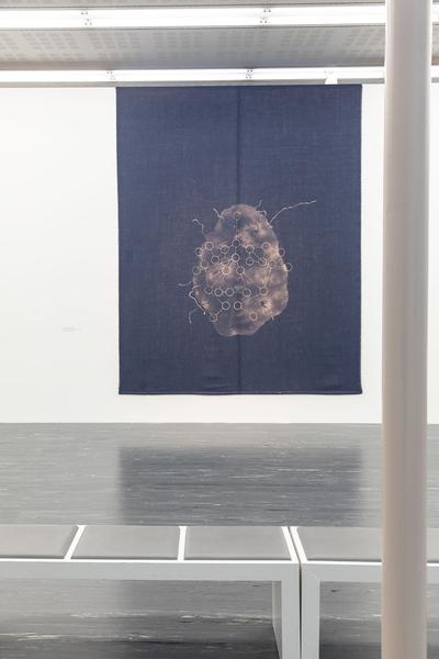 Belvedere 21: Maja Vukoje - Auf Kante (8.12.2020 - 23.5.2021) https://esel.at/termin/104412 | Foto: eSeL Foto: eSeL.at - Lorenz Seidler
