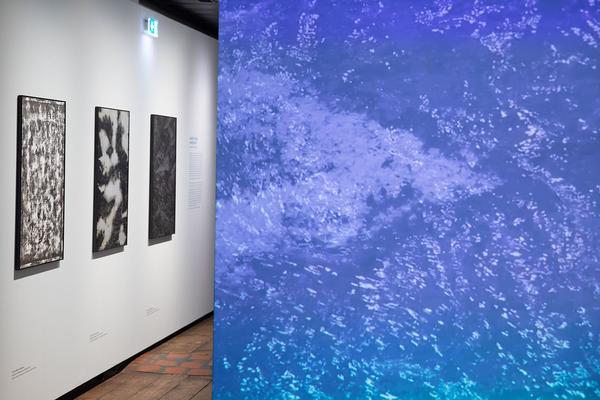 Kunst Haus Wien: Nach uns die Sintflut (16.09.2020-14.02.2021) https://www.kunsthauswien.com/de/ausstellungen/nach-uns-die-sintflut | Foto: eSeL Foto: eSeL.at - Lorenz Seidler