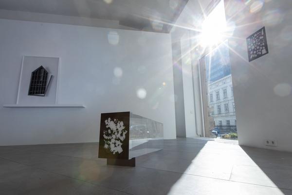 akbild xposit: Raffaela Bielesch - Ja, ist noch da! (23.10.2020 - 05.01.2020) https://www.akbild.ac.at/Portal/kunst-ausstellen/ausstellungsraum-der-akademie/ausstellungen/raffaela-bielesch.-ja-ist-noch-da | Foto: eSeL Foto: eSeL.at - Lorenz Seidler