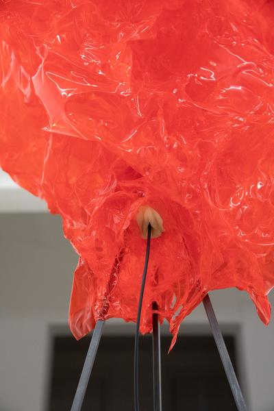 Krinzinger Projekte: Pants on Fire. Art and other fictions (4.6. - 17.6.2020) https://esel.at/termin/105884 | Foto: eSeL Foto: eSeL.at - Lorenz Seidler