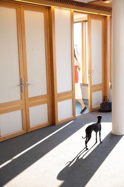 Parallel: Location Preview & Edition Wurm/Grandits (Altes Gewerbehaus, Rudolf-Sallinger-Platz, 23.6.2020) Foto: eSeL Foto: eSeL.at - Lorenz Seidler