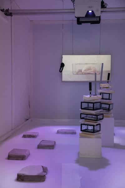 Parallel Vienna 2020 (Rudolf Sallinger Platz 3, 22.- 27.9.2020) https://esel.at/termin/105920 | Foto: eSeL Foto: eSeL.at - Lorenz Seidler