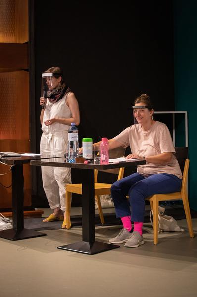 Belvedere 21: Public Program: No shelter from the storm (20.8.2020) https://esel.at/termin/106454/public-program-no-shelter-from-the-storm | Foto: eSeL Foto: eSeL.at - Lorenz Seidler
