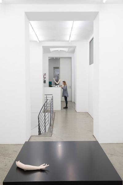 Galerie Gabriele Senn: Richard Hoeck: the ecstasy of becoming trash (including works by Rudolf Polanszky) (16.1. - 29.2.2020) https://esel.at/termin/104534 | Foto: eSeL Foto: eSeL.at - Lorenz Seidler
