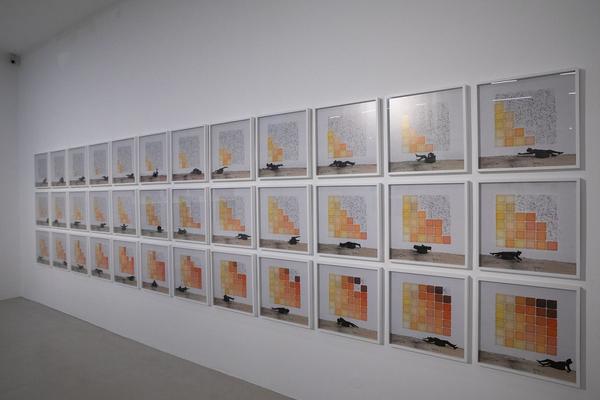 Kunsthalle Krems: Robin Rhode. Memory is The Weapon (1.7. -  1.11.2020)  https://www.kunsthalle.at/de/ausstellungen/18-robin-rhode-memory-is-the-weapon | Foto: eSeL Foto: eSeL.at - Lorenz Seidler