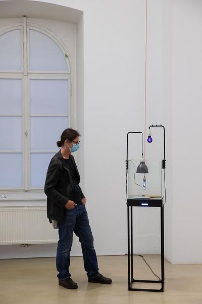 Kunstraum Niederösterreich: Stormy Weather (Eröffnung, 24.9. - 21.11.2020) http://www.kunstraum.net/de/ausstellungen/102-stormyweather | Foto: eSeL Foto: eSeL.at - Lorenz Seidler