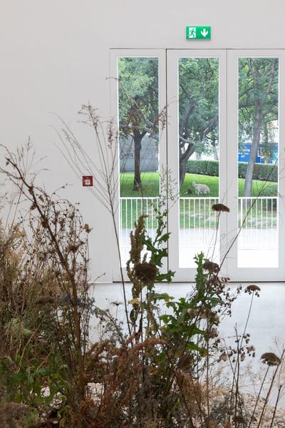 Secession: Verena Dengler. Die Galeristin und der schöne Antikapitalist auf der Gothic G’stettn (Corona Srezessionsession Dengvid-20 🙂) (2.7. - 6.9.2020) https://esel.at/termin/106124 | Foto: eSeL Foto: eSeL.at - Lorenz Seidler